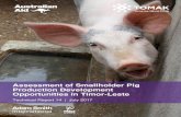 Assessment of Smallholder Pig Production …tomak.org/wp-content/uploads/2016/11/Smallholder-Pig...pig’s diet; sub-optimal housing; and poor knowledge of biosecurity, health, and