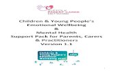 Suffolk Parent Carer Network - Children & Young People’s … · 2020. 3. 18. · and logo Wellbeing Suffolk Brief description of what the organisation does Wellbeing Suffolk provides