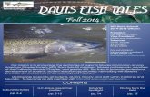 Davis Fish Tales - Matthew Savoca Ecology · 2018. 9. 9. · Fish Artist Spotlight pp. 14 Photos from the field pp. 15 ... early fall when water temperatures are highest. I am now
