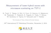 Measurement of lower-hybrid waves with microwave ... · A microwave scattering diagnostic is being developed to measure the Lower-Hybrid (LH) waves directly and test numerical simulations