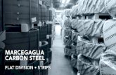 MARCEGAGLIA CARBON STEEL · 2019. 10. 7. · 1st producer of stainless steel welded tubes in the world 1st producer of carbon steel welded tubes in europe ... india marcegaglia north