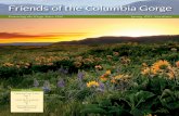 Friends of the Columbia Gorge · Dustin Klinger Barbara Nelson Aubrey Russell staff Nathan Baker S taff a ttorney Kyle Broeckel d eVeloPment a ... as timeless and inspiring as the