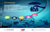 Towards Adaptive Social Protection Systems in Latin ...documents1.worldbank.org/curated/en/265481593592677937/pdf/To… · Adaptive Social Protection (ASP) Systems in Latin American