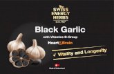 Presentation 1black garlic EN 250719 · 2019. 8. 9. · has bactericidal, antiviral and antifungal activity, and also increases the activity of the immune system, resistance to infections.