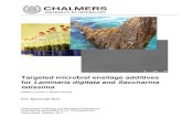 Targeted microbial ensilage additives for Laminaria digitata and · PDF file 2017. 5. 10. · Abstract Seaweeds are a potential feedstock for biofuel and biochemical production. However,