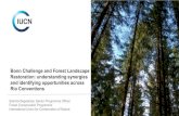Bonn Challenge and Forest Landscape Restoration: understanding … · 2019. 12. 19. · forest landscape restoration and reduced and avoided degradation of forests, wetlands , grasslands