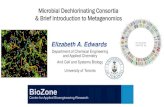 Microbial Dechlorinating Consortia & Brief Introduction to … · 2020. 4. 29. · Department of Chemical Engineering and Applied Chemistry And Cell and Systems Biology University