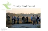 Trinity Bird Count - United States Army Corps of Engineers€¦ · Mississippi Kite Painted Bunting . Grassland birds Eastern Meadowlark Lark Sparrow Western Kingbird Savannah Sparrow