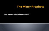 The Minor Prophets · 2018. 9. 23. · The Minor Prophets Why are they called minor prophets? Who were the Minor Prophets?. Early Times (1000 BCE – 70 BCE) Assyrians 722 BCE The