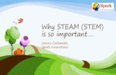 Why STEAM is so important…. - sparkedinnovations.net STEAM is so important.pdf · • Social Networking • Vehicles- hybrids, electric, self-driving. How does STEM fit into this?
