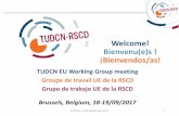 Welcome! Bienvenu(e)s ! ¡Bienvendos/as!...TUDCN EU WG February 2017 28 OECD-DAC decent work reporting Africa-EU Summit Private sector in development / Trade union matrix / EIP SDG