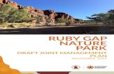 RUBY GAP NATURE PARK - dtsc.nt.gov.au...This keeps Ruby Gap’s spirit strong for all families, Park staff, visitors and country. PARK SIGNIFICANCE AND VALUES “Ruby Gap is a place