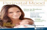 INSIGHTS Perinatal Mood - Amazon S3s3.amazonaws.com/pinerest/media/20171117193611/PMAD.pdf · INSIGHTS I Perinatal Mood Anxiety Disorders 5 Although depression is the most common
