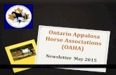 Who We Are - Ontario Appaloosa Horse Association News... · Who We Are About the Ontario Appaloosa Horse Club The Ontario Appaloosa Horse Association Inc. is an organization of horse