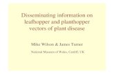 Disseminating information on leafhopper and planthopper vectors … files/Talks Sitges... · 2013. 11. 19. · Wilson Sitges Vectors.ppt Author: Michael Wilson Created Date: 3/2/2010