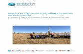 Impact of hydraulic fracturing chemicals on soil quality...6 18/06/2019 Draft for final internal review SA SA 7 01/07/2019 Revised after the review RK SA 8 03/03/2020 Revised after