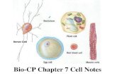 Bio-CP Chapter 7 Cell Notes - Newbury Park High …newburyparkhighschool.net/stillwagon/biocp/Current Notes...Nucleus Endoplasmic reticulum Golgi apparatus Lysosomes Vacuoles Mitochondria