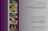 Regional Species Conservation Assessment Project, · 2015. 4. 27. · Regional Species Conservation Assessment Project, Phase 1 Report: Regional Species Status Assessments, Adelaide