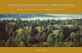UNFCCC ACCOUNTING FOR FORESTS - Climate and ... 2017/09/06  · 1 POLICY BRIEF UNFCCC Accounting for Forests: What’s in and what’s out of NDs and REDD+ Donna Lee & Maria J. Sanz