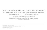 PERTUMBUHAN BUNGA SEPATU (Hibiscus rosa- EFEKTIVITAS …repository.um-surabaya.ac.id/2913/2/CEK_PLAGIASI_JURNAL... · 2018. 12. 27. · Buah Delima Sebagai Antibiotik Pengobatan Infeksi