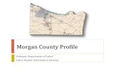 Morgan County Profile - Alabama County.pdfMorgan County Industry Sector Employment Trends Source: Longitudinal Employer Household Dynamics program which is a partnership between the