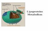 Lipoproteins Metabolism - Jinnah Sindh Medical University Lecture 4... · 2020. 1. 27. · Metabolism of chylomicrons • Transport dietary TG and Cholesterol from the intestine to