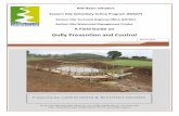 Gully Prevention and Control · 2020. 4. 16. · Gully Rehabilitation Principle: “Prevention is better than Cure” 2012 Nile Basin Initiative Eastern Nile Subsidiary Action Program