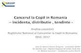 Cancerul la Copil in Romania – incidenta, distributie ...€¦ · Neuroblastom si SNS. Retinoblastom. Tumori renale. Hepatic. Tumori osoase. Sarcoame parti moi. Tu cel germ si gonad.