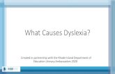 What Causes Dyslexia?media.ride.ri.gov/IAC/Dyslexia/DyslexiaAwarenessPart2.pdf · If a parent has dyslexia, 40-60% chance child will have it as well RIDE . dyslex ic Q nee dgstexic