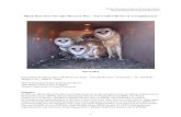 Illinois Barn Owl (Tyto alba) Recovery Plan Barn Owl... · 2020. 1. 18. · Illinois Barn Owl (Tyto alba) Recovery Plan – Year 3 (2013) Review of Accomplishments March 2014 Prepared