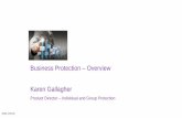 Business Protection Overview Karen Gallagher - LIA...Scheme Size No. of Schemes Active Members Non Group 57,666 57,666 1 to 50 9,317 60,918