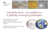 Candida auris - an update on a globally emerging pathogen...Candida auris - an update on a globally emerging pathogen Dr Elizabeth M. Johnson Public Health England Mycology Reference