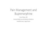 Pain Management and Buprenorphine - CHI St. Gabriel's Health · 2019. 12. 12. · Acute Pain Management in Bup/Nx Patients • Nov 2018, Quaye, et al. Pain Medicine, Perioperative