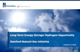 Long-Term Energy Storage: Hydrogen Opportunity Stanford … · 2019. 11. 12. · Long-Term Energy Storage: Hydrogen Opportunity Stanford Natural Gas Initiative. Background ... Countries