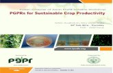 Indian Chapter of Asian PGPR Satellite Workshop PGPRs for … PGPR Satellite... · 2016. 3. 27. · Indian Chapter of Asian PGPR Satellite Workshop PGPRs for Sustainable Crop Productivity