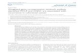 Research Paper Weighted gene co-expression network ... · the improvement of recurrence-free survival time of CRC patients. Key words: colorectal cancer (CRC), weighted gene co-expression