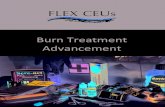 Burn Treatment Advancement · 2020. 5. 28. · REVIEW Open Access Burn wound healing and treatment: review and advancements Matthew P. Rowan1*, Leopoldo C. Cancio1, Eric A. Elster2,