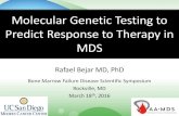 Molecular Genetic Testing to Predict Response to Therapy ......Molecular Genetic Testing to Predict Response to Therapy in MDS Rafael Bejar MD, PhD Bone Marrow Failure Disease Scientific