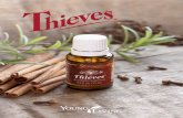 herapeutic Grade - Crazy Adventures in Parenting...proprietary Thieves oil blend includes clove, cinnamon bark, rosemary, lemon, and Eucalyptus radiata and has been specially blended