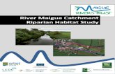 River Maigue Catchment Riparian Habitat Study · 2019. 11. 20. · River Maigue Habitat Surveys Wetland Surveys Ireland October 2019 3 | P a g e tributaries occur in hydrometric area