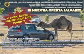 Diapositiva 1 - Safari MadridTitle: Diapositiva 1 Author: Laura Egido Created Date: 12/26/2019 2:19:56 PM