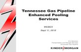 Tennessee Gas Pipeline Enhanced Pooling Services€¦ · batch NOTE: If using the copy batch feature, remove invalid pool meters before submitting • After nomination submission,