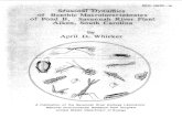 A Publication of the Savannah River Ecology Laboratory ...archive-srel.uga.edu/NERP/docs/SRO-NERP-16.pdfyellow bullhead, /eta/urus nata/is), turtles (Pseudemys scripta). the American