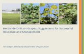 Herbicide Drift on Grapes; Suggestions for Successful ......Tim Creger, Nebraska Department of Agriculture The Problem from NDA’s Perspective • Herbicides are definitely causing