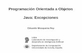 Programación Orientada a Objetos Java: Excepcionesquegrande.org/apuntes/EI/OPT/POO/practicas/07-08/...– Junto con sus subclases representan excepciones en tiempo de ejecución que