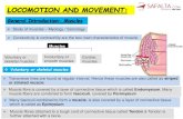 LOCOMOTION AND MOVEMENT - spiderimg.amarujala.com€¦ · 7/10/2020  · LOCOMOTION AND MOVEMENT: Structure of muscle fibre ... Antagonistic muscles causes opposite movement at the