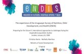 The experience of the Uruguayan Survey of Nutrition, Child Development, and Health (ENDIS) · 2020. 2. 5. · and Health (ENDIS) • ENDIS seeks to generate knowledge to advance early