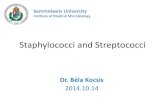 Staphylococci and Streptococci - Semmelweis Egyetem · 2015. 3. 12. · Staphylococci and Streptococci Dr. Béla Kocsis 2014.10.14 Semmelweis University Institute of Medical Microbiology