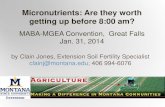 Micronutrients: Are they worth getting up before 8:00 am?landresources.montana.edu/soilfertility/documents/PDF... · 2016. 8. 15. · Micronutrient deficiencies will likely increase