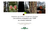 Adaptation des forêts au changement climatique Les actions engagées par l’ONF au ...draaf.occitanie.agriculture.gouv.fr/IMG/pdf/4_onf_action... · 2016. 1. 5. · Veille et diffusion